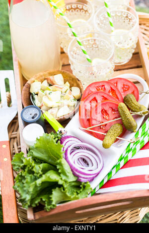 Kleine Sommer-Picknick mit Limonade und Hamburger in den Park. Stockfoto