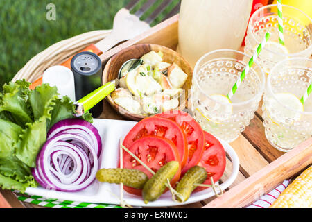 Kleine Sommer-Picknick mit Limonade und Hamburger in den Park. Stockfoto