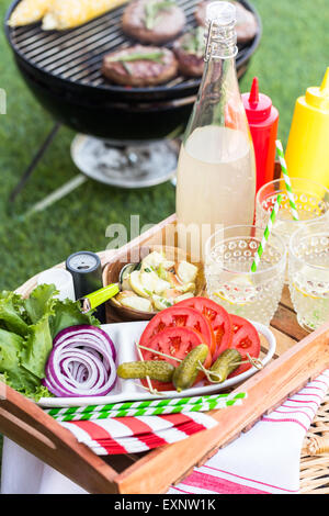 Kleine Sommer-Picknick mit Limonade und Hamburger in den Park. Stockfoto