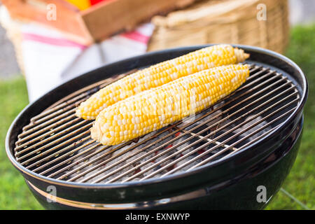 Kleine Sommer-Picknick mit Limonade und Hamburger in den Park. Stockfoto