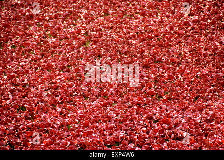 Blut gefegt, Länder und Meere rot, Tower of London Mohn Erster Weltkrieg Kunst Installation, London 2014 Stockfoto