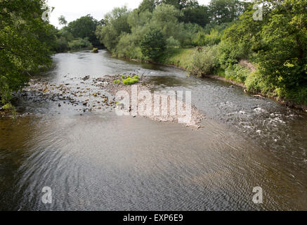 Fluss Usk bei Wanderungen auf Usk, Powys, Wales, UK Stockfoto