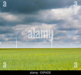 Windmühlen auf Maisfeld stehen. Schöne ländliche Landschaft mit Windmühlen. Stockfoto