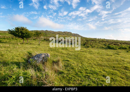 Kilmar Tor auf Bodmin Moor in Cornwall Stockfoto