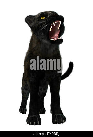 3D digital zu rendern, der eine große Katze, die Black Panther auf weißem Hintergrund isoliert Stockfoto