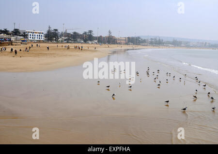 Strand von Essaouira. Stockfoto