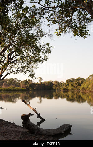 Xingu indigenen Park, Mato Grosso, Brasilien. Aldeia Matipu; der Hafen am Fluss Kuluene. Stockfoto