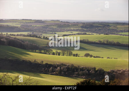 Englische Landschaft. England. Lange Winter Schatten der Bäume über Felder. Stockfoto