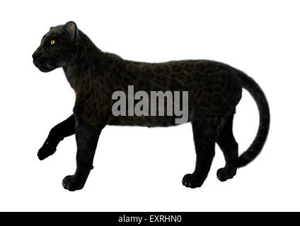 3D digital zu rendern, der eine große Katze, die Black Panther zu Fuß isoliert auf weißem Hintergrund Stockfoto