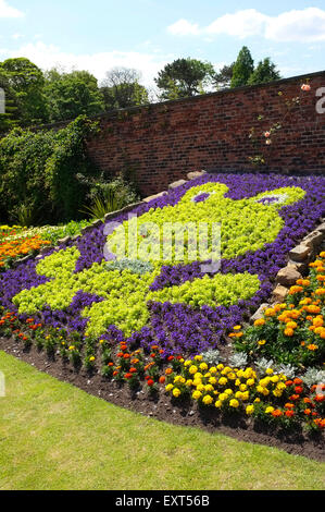 Kermit der Frosch Bett Blumen am Roundhay Park, Leeds, Yorkshire Stockfoto