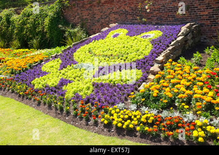 Kermit der Frosch Bett Blumen am Roundhay Park, Leeds, Yorkshire Stockfoto