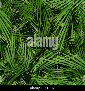 Beispiel für eine nahtlose Hintergrund Hintergrund mit Palmen Blätter für tropische und Vegetation Muster Stockfoto