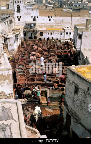 Marokko, Fès, Chouara Gerberei Stockfoto