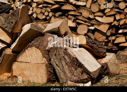 Gehackte Protokolle für Brennholz Stockfoto