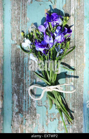 Romantische blaue Reihe von blaue Lobelie Lobelia Erinus Blumen auf rustikalen Holztisch, Nahaufnahme Schuss Stockfoto