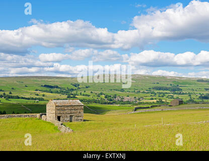 Feld-Scheune und Blick zum Askrigg Dorf, Wensleydale, Yorkshire Dales National Park, North Yorkshire, England UK Stockfoto