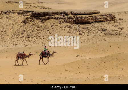 Ein Mann, ein Kamel reiten führt Anthere einer bei den Pyramiden in der Nähe von Kairo, Ägypten.    Bildnachweis: Euan Cherry Stockfoto