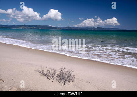 Küste bei Kuaotunu Bay, Coromandel Peninsula, Neuseeland Stockfoto