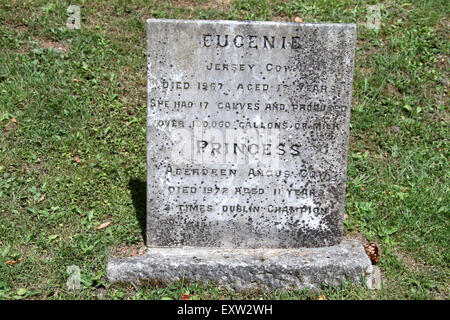 Powerscourt Haus Haustiere Friedhof im County Wicklow Stockfoto