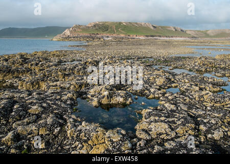 Geologie, rockt am Damm über nach Worms Head,Gower.Rhossilli,Bay,beach,Gower,Wales,causeway, Stockfoto