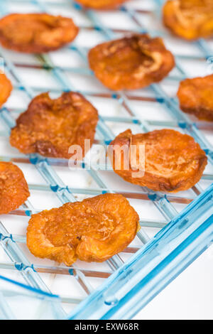Dörrgerät Tablett mit hausgemachten getrocknete Aprikosen, bereit, gegessen zu werden. Stockfoto