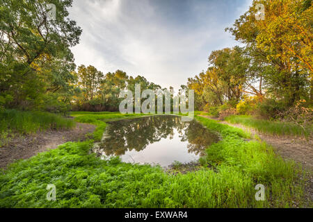 Sommer Sonnenaufgang über den Fluss mit einem Nebel. Stockfoto