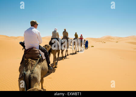 Touristen auf Kamelen in der Wüste, Merzouga, Region Meknès-Tafilalet, Marokko Stockfoto