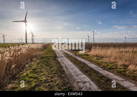 Landschaft mit Windkraftanlagen in Dithmarschen, Schleswig-Holstein, Deutschland Stockfoto