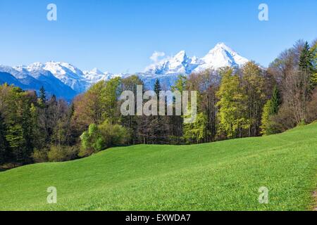 Frühling über Berchtesgaden mit Watzmann, Bayern, Deutschland Stockfoto