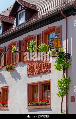 Weingut in Sankt Martin, Rheinland-Pfalz, Deutschland Stockfoto