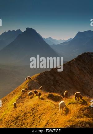 Abends Reitherspitze, Seefeld, Tirol, Österreich Stockfoto