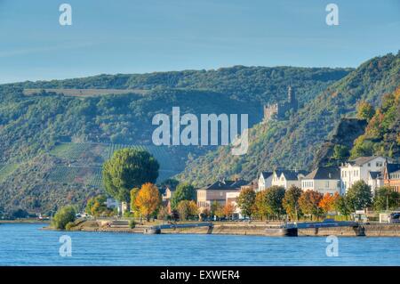 Am Rhein mit Burg Maus, Rheinland-Pfalz, Deutschland Stockfoto