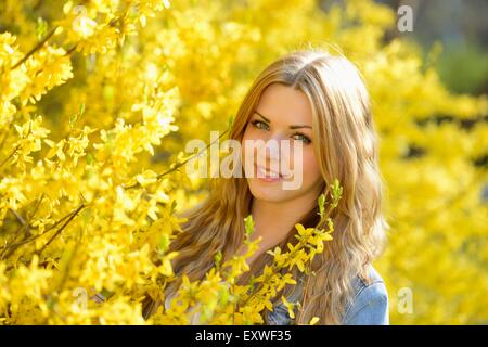 Junge Frau am blühenden Forsythien, Porträt Stockfoto