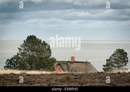 Blick vom Braderuper Heide zum Wattenmeer, Kampen, Sylt, Schleswig-Holstein, Deutschland, Europa Stockfoto