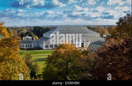 Gemäßigten Haus, Royal Botanic Gardens, London Borough of Richmond upon Thames, London, England, Großbritannien, Europa Stockfoto