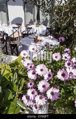 Blumen im Restaurant La Petite Maison, Nizza, Frankreich Stockfoto