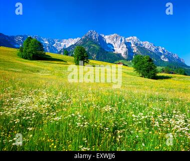 Zahmer Kaiser, Walchsee, Tirol, Österreich Stockfoto