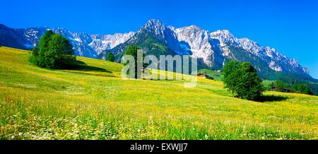 Zahmer Kaiser, Walchsee, Tirol, Österreich Stockfoto