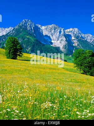 Zahmer Kaiser, Walchsee, Tirol, Österreich Stockfoto