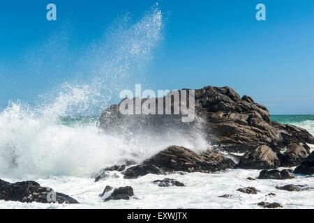 Welle, crushing auf Felsen, Hermanus, Südafrika Stockfoto