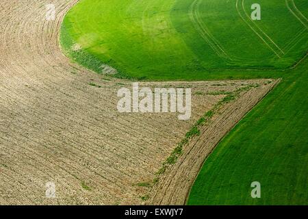 Acker mit Wiese, Oberschwaben, Baden-Württemberg, Deutschland Stockfoto