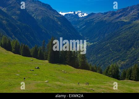 Kaunertal, Ötztaler Alpen, Tirol, Österreich Stockfoto