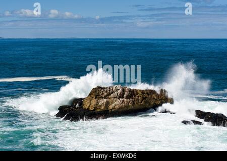 Welle, crushing auf Felsen, Hermanus, Südafrika Stockfoto