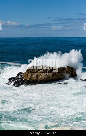 Welle, crushing auf Felsen, Hermanus, Südafrika Stockfoto