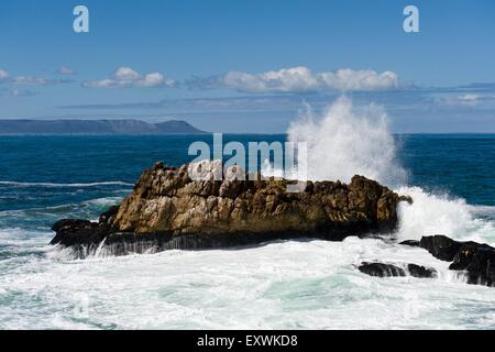 Welle, crushing auf Felsen, Hermanus, Südafrika Stockfoto