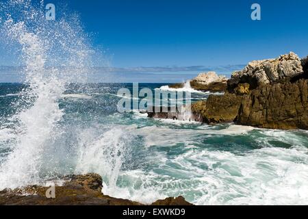 Welle, crushing auf Felsen, Hermanus, Südafrika Stockfoto