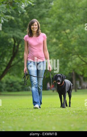 Frau mit einem schwarzen Labrador auf einer Wiese, Bayern, Deutschland, Europa Stockfoto