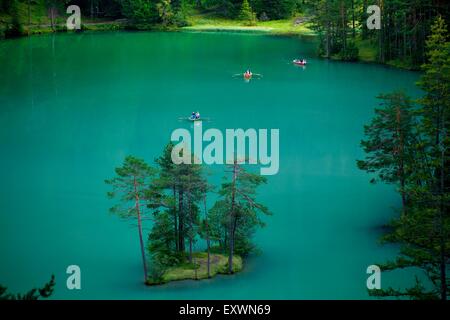 Kiefern im Fernsteinsee Nassereith, Tirol, Österreich Stockfoto