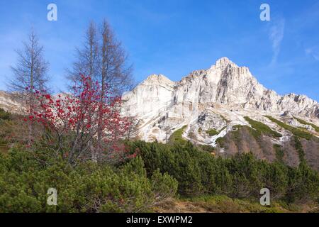 Kleine Und Grosse Kesselspitze, Radstaedter Tauern, Salzburger Land, Österreich, Europa Stockfoto