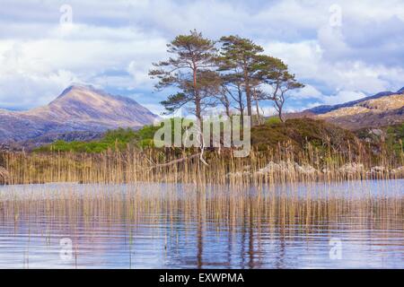 Loch Druim Suardalain und Mount Suilven, Highlands, Schottland, Großbritannien, Europa Stockfoto